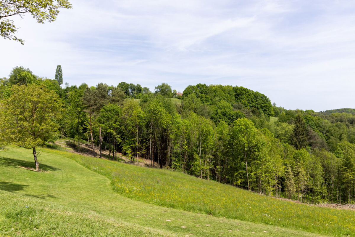 Eigenjad in Jennersdorf in Burgenland Wald- und Wiesenlandschaft