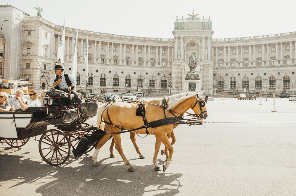 Wien Innenstadt Vieracker